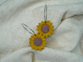 GIRASOLES CON ARETE FINO